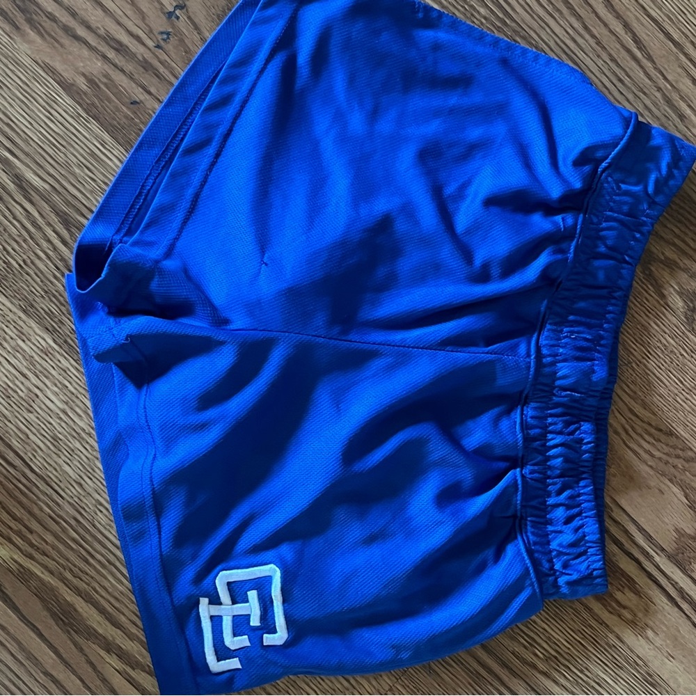 Clifford Lenox Blue Lined Shorts